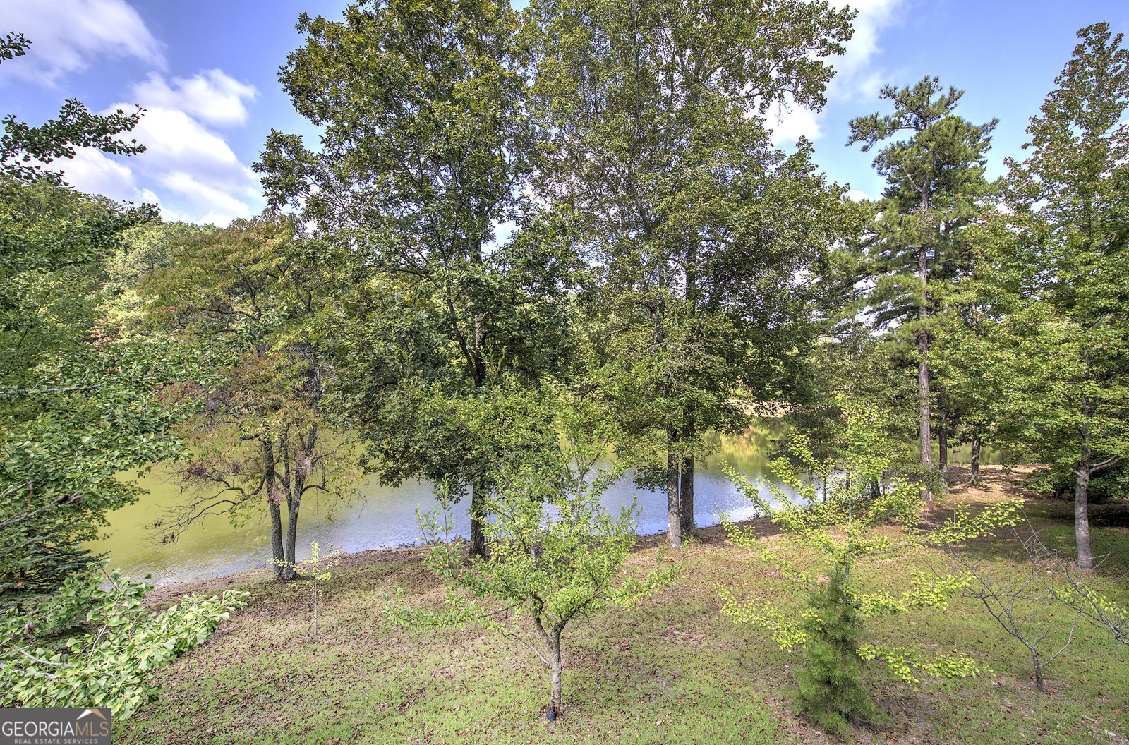 1218 Hightower Road Cedartown - Photo 28