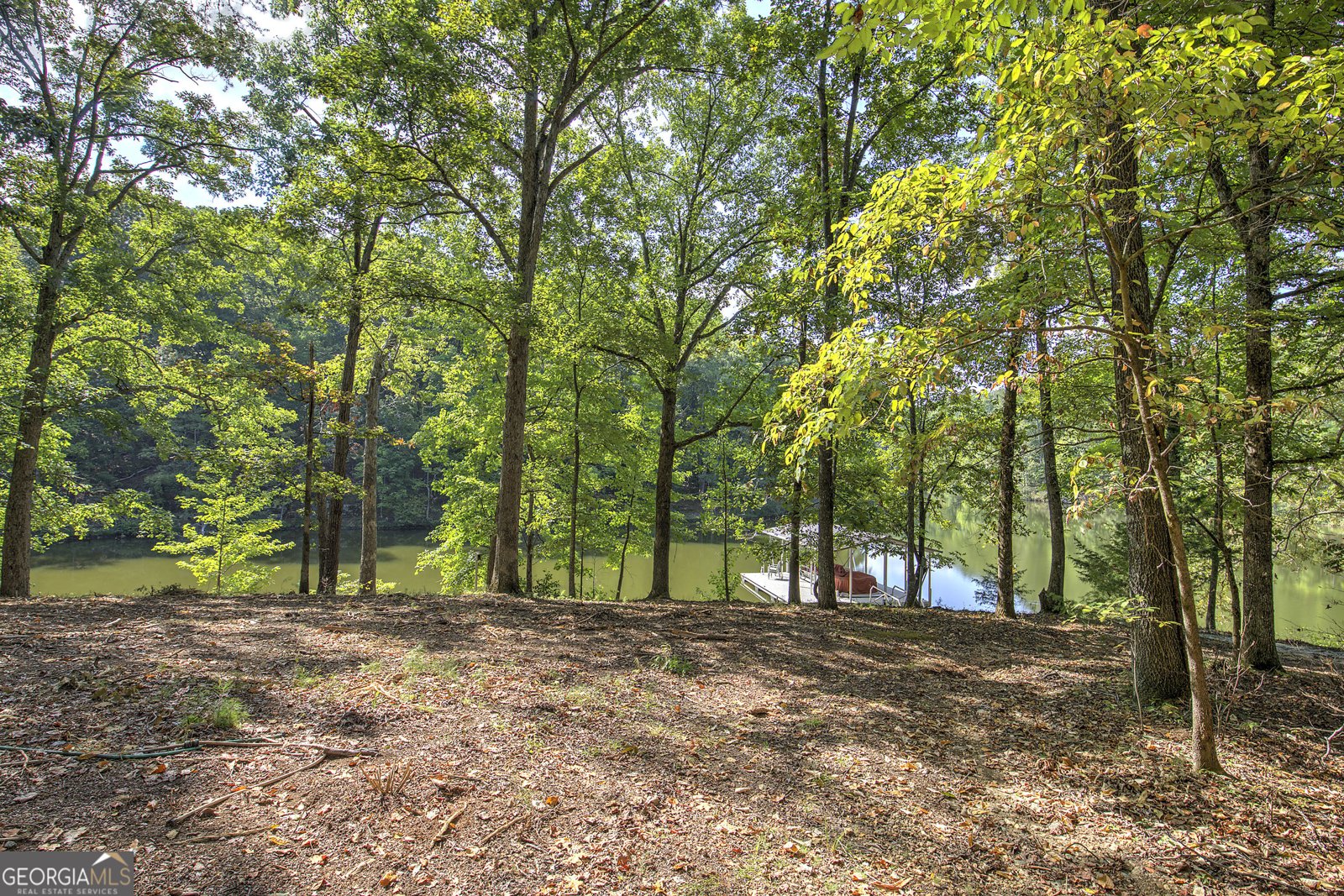 1218 Hightower Road Cedartown - Photo 34