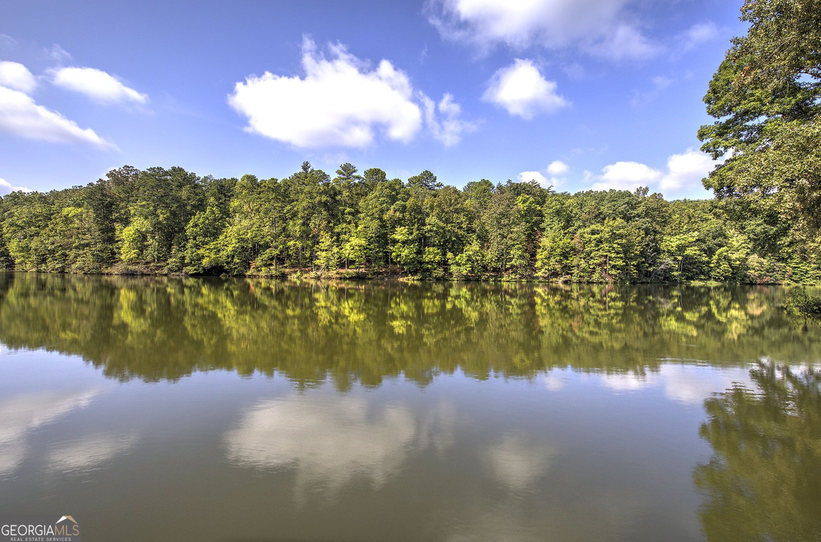 1218 Hightower Road Cedartown - Photo 41