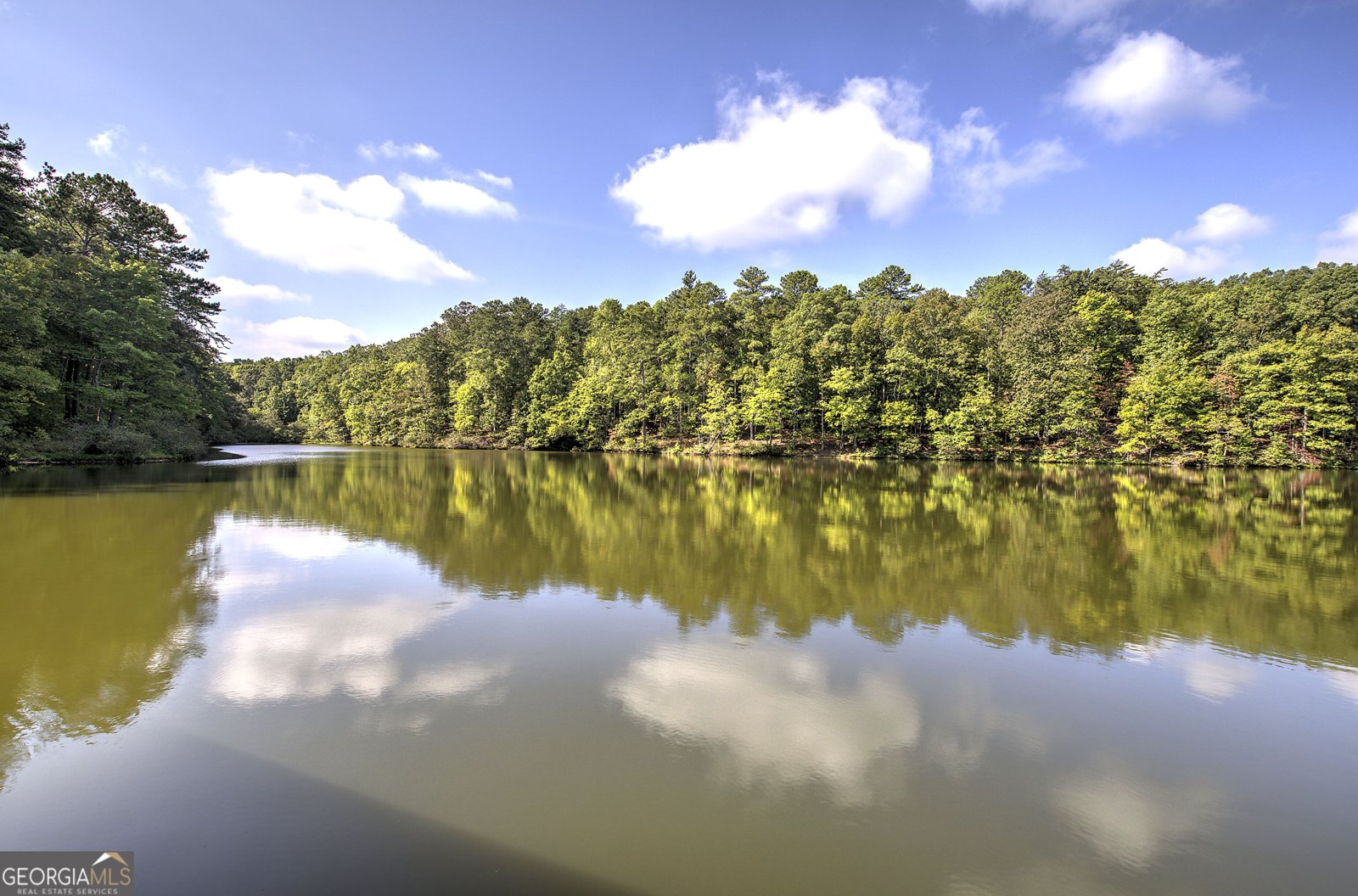 1218 Hightower Road Cedartown - Photo 42