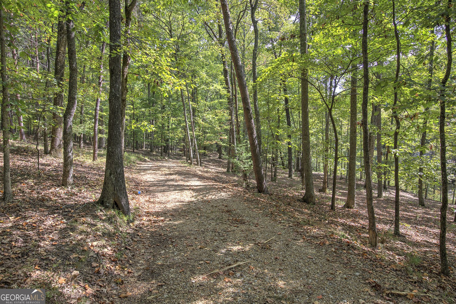 1218 Hightower Road Cedartown - Photo 8