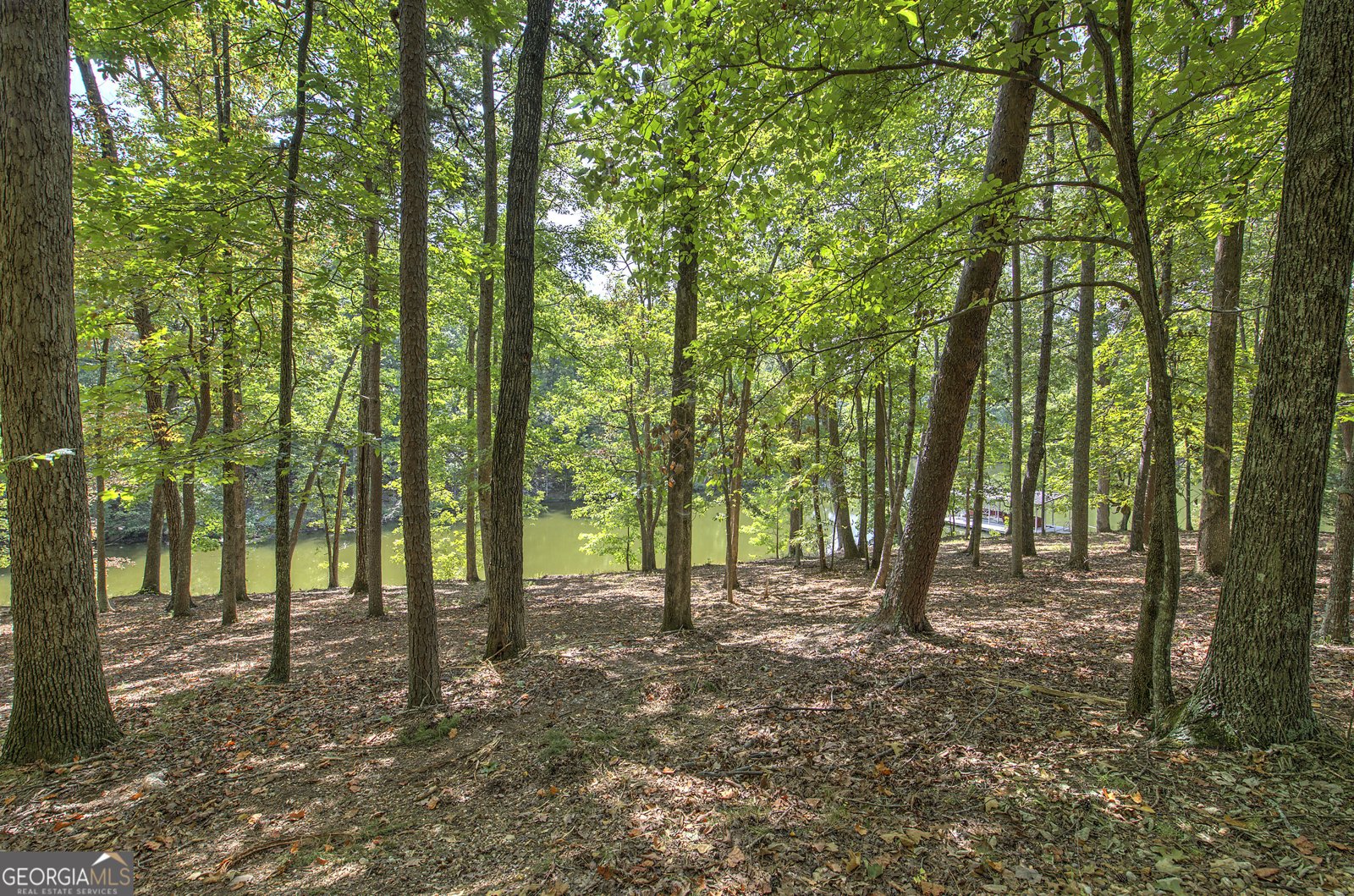 1218 Hightower Road Cedartown - Photo 9