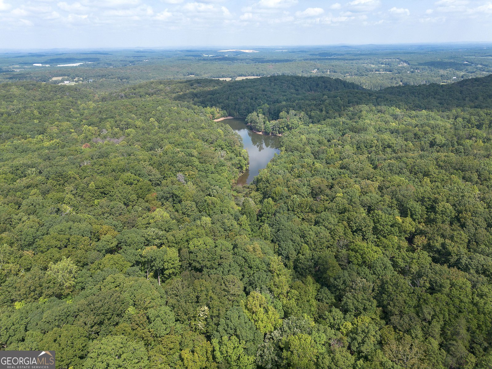 1218 Hightower Road Cedartown - Photo 99