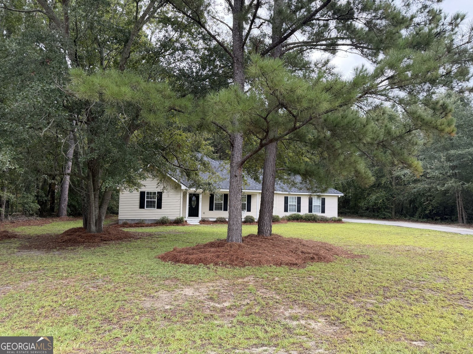 509 Carriage Lane Statesboro - main photo