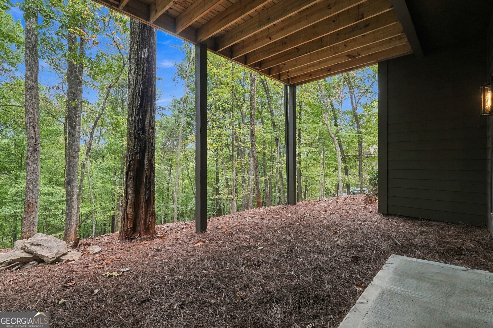 66 Meadow Brook Ridge Jasper - Photo 64