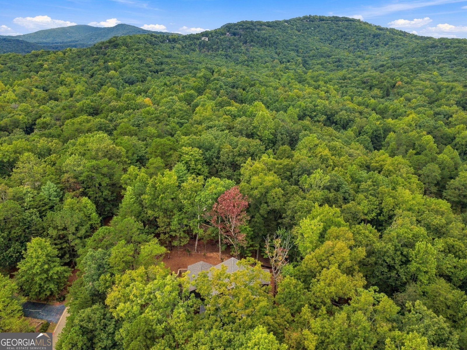 66 Meadow Brook Ridge Jasper - Photo 68