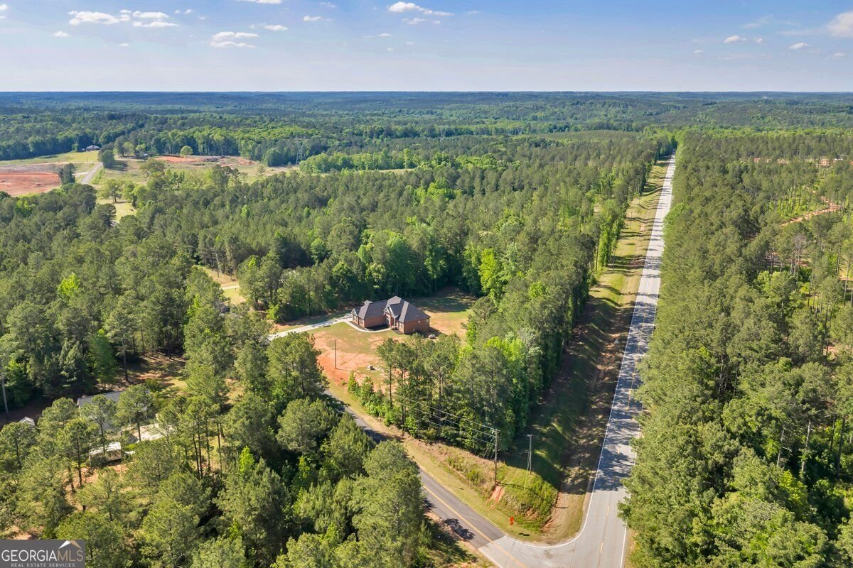 2594 Lassiter Road Forsyth - Photo 42