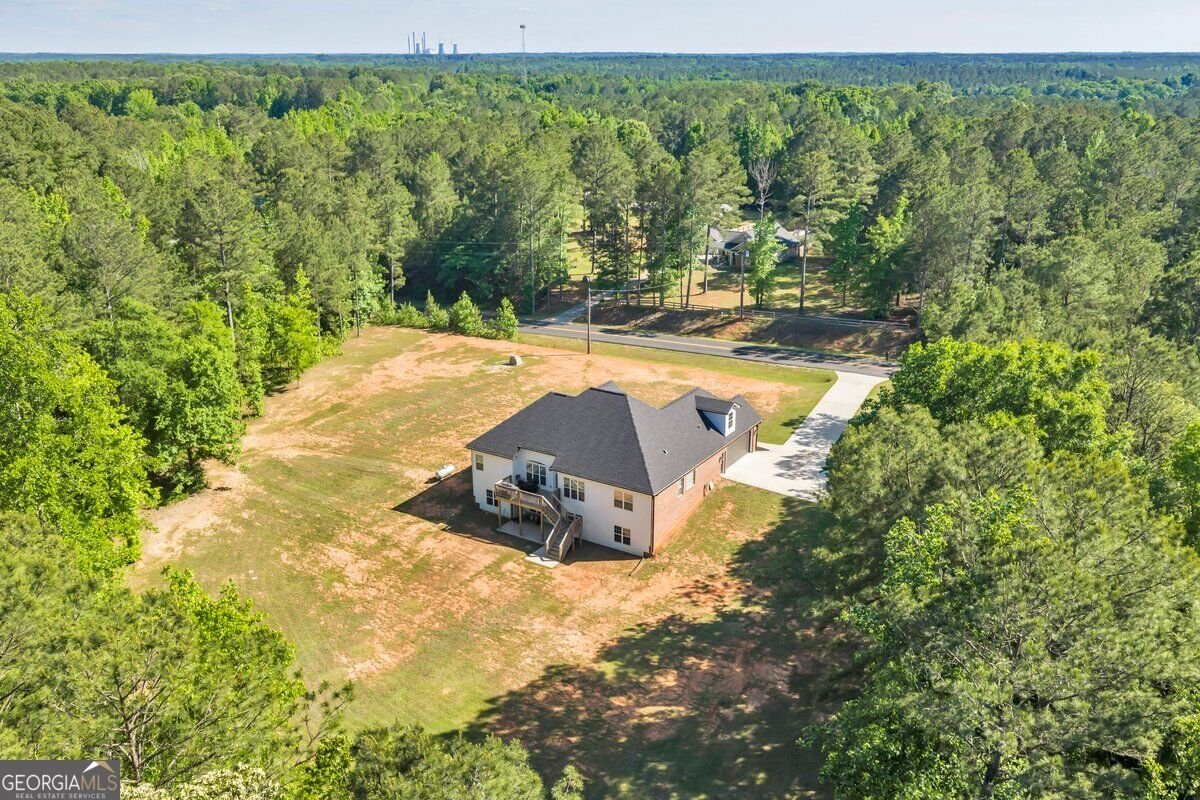 2594 Lassiter Road Forsyth - Photo 53