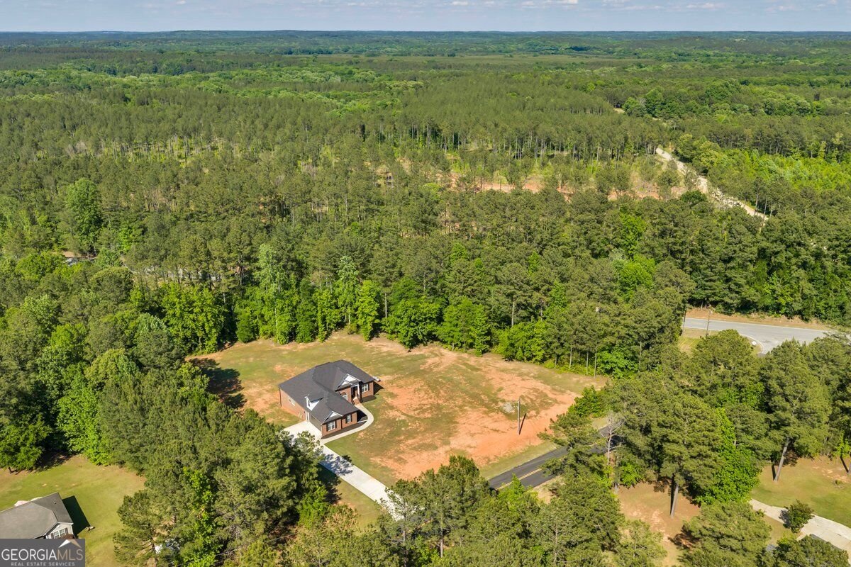 2594 Lassiter Road Forsyth - Photo 54
