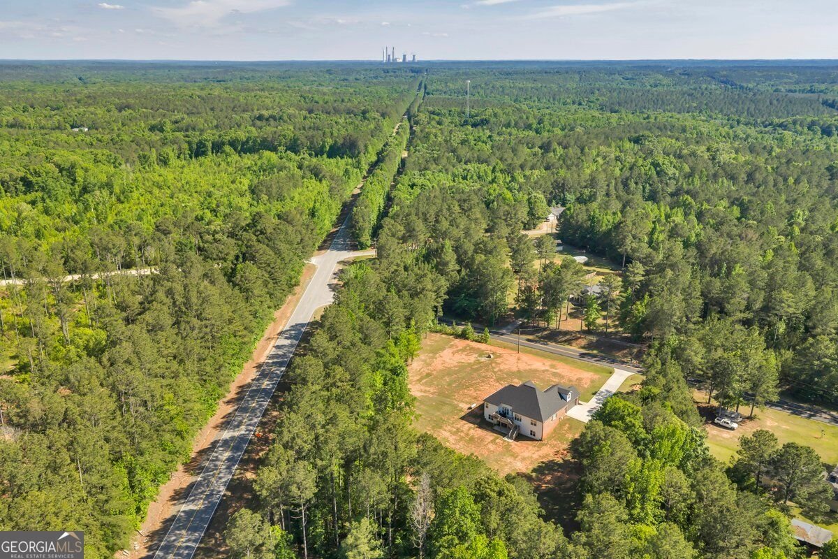 2594 Lassiter Road Forsyth - Photo 55