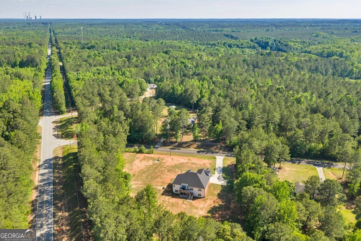 2594 Lassiter Road Forsyth - Photo 56