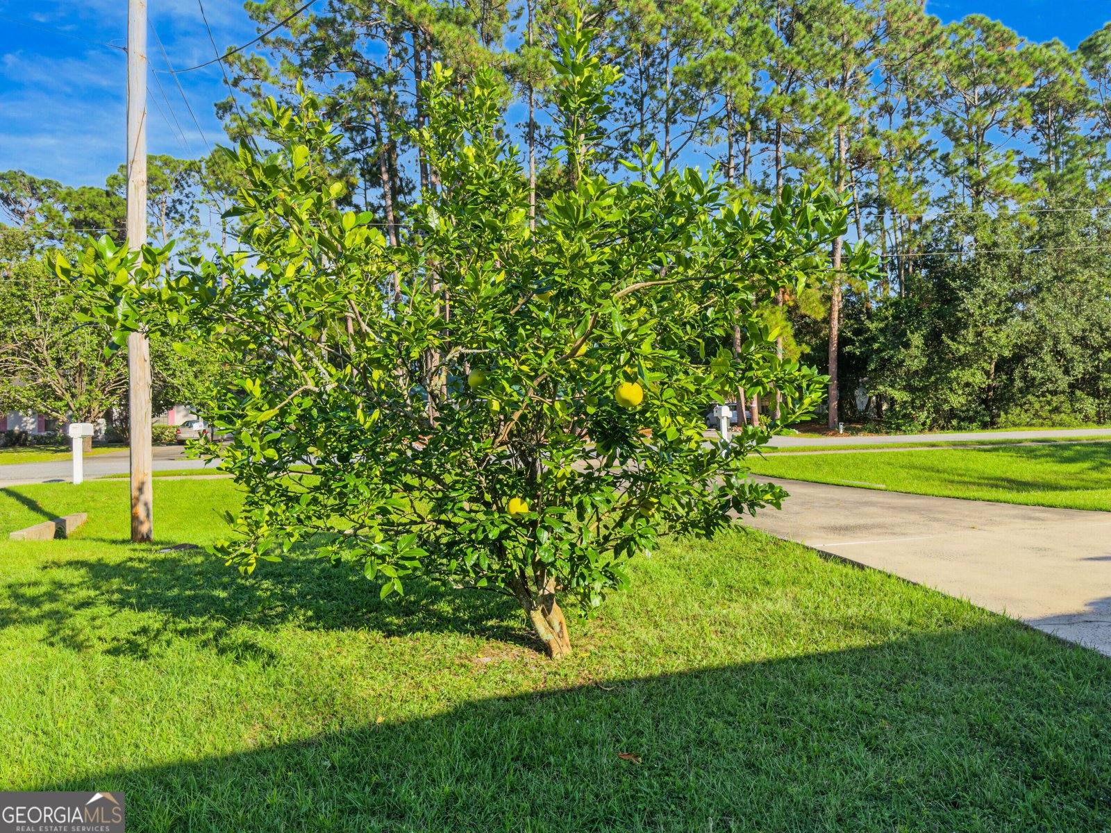 303 Ethridge Drive Brunswick - Photo 51