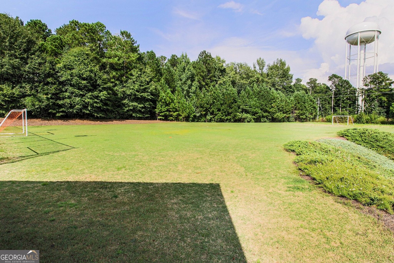 150 Charleston Drive Senoia - Photo 94