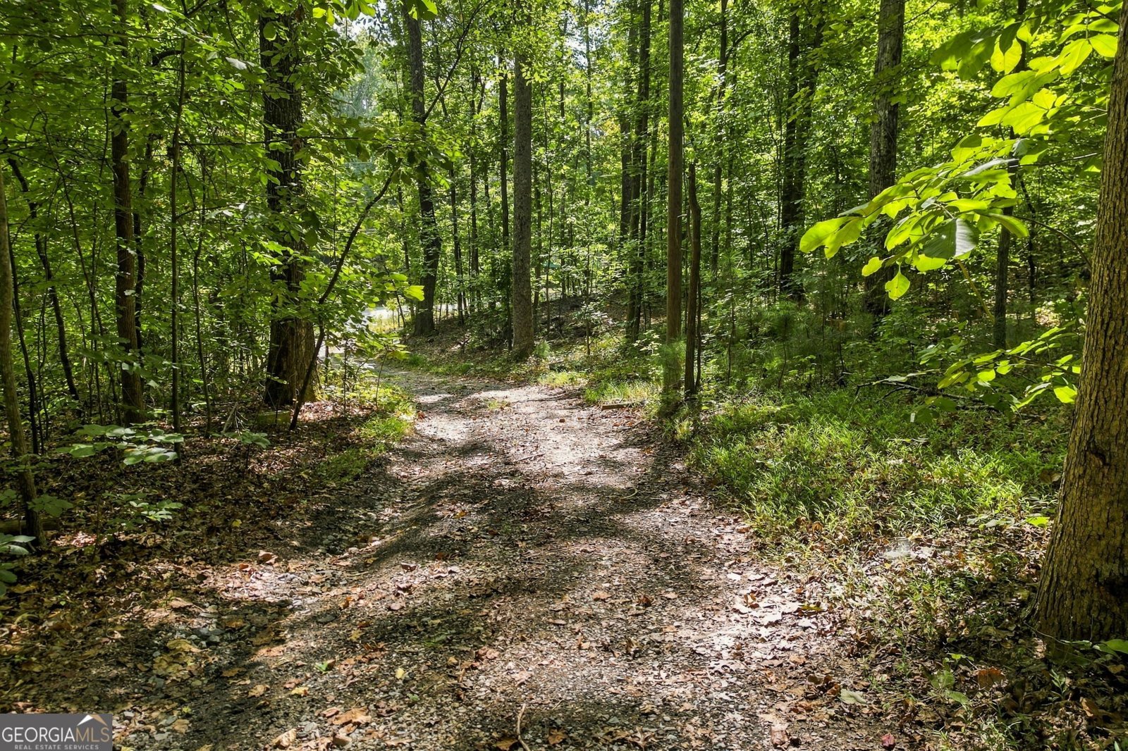 1580 Laird Road Hiram - Photo 28
