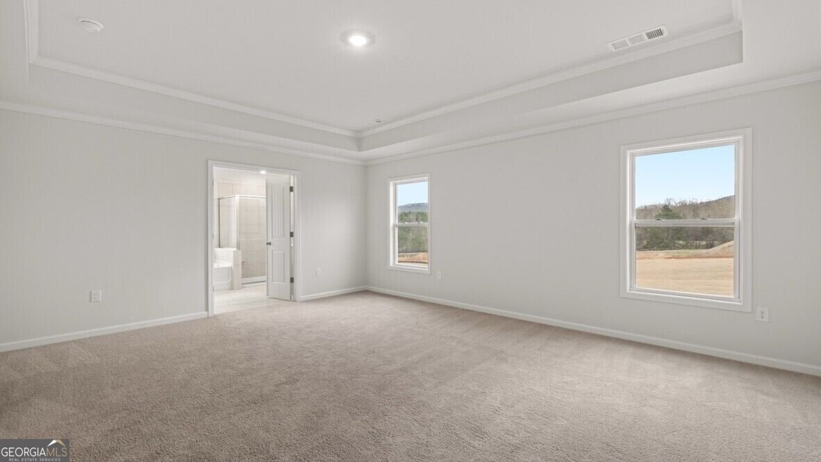5225 Thalley Creek Drive Cumming - Photo 20