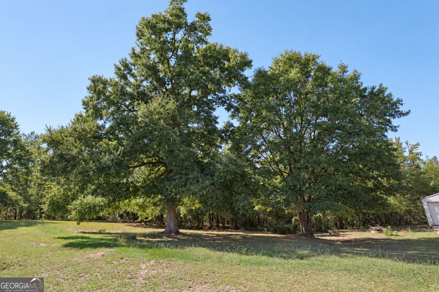 174 Rifle Range Road Gray - Photo 56