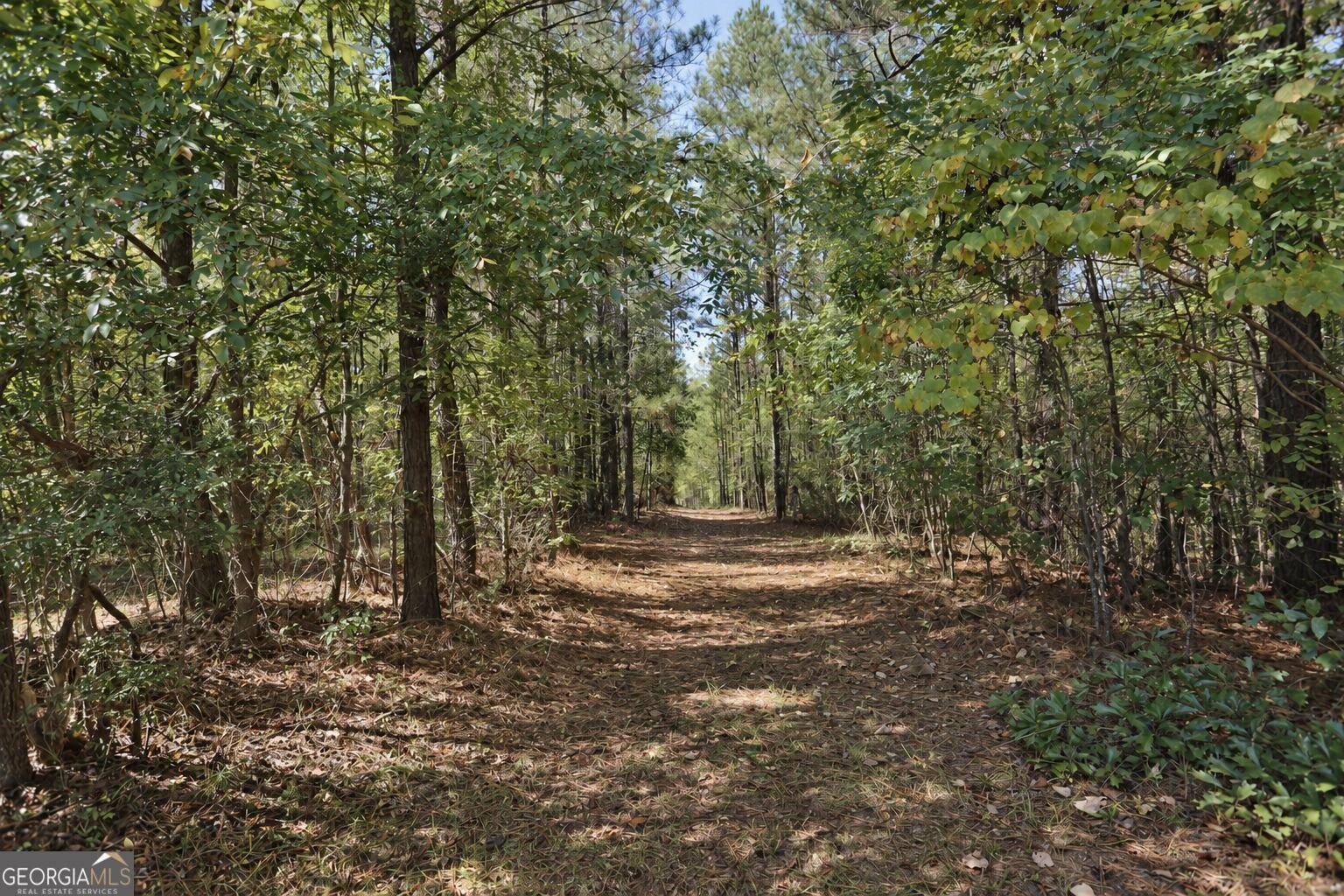 174 Rifle Range Road Gray - Photo 57