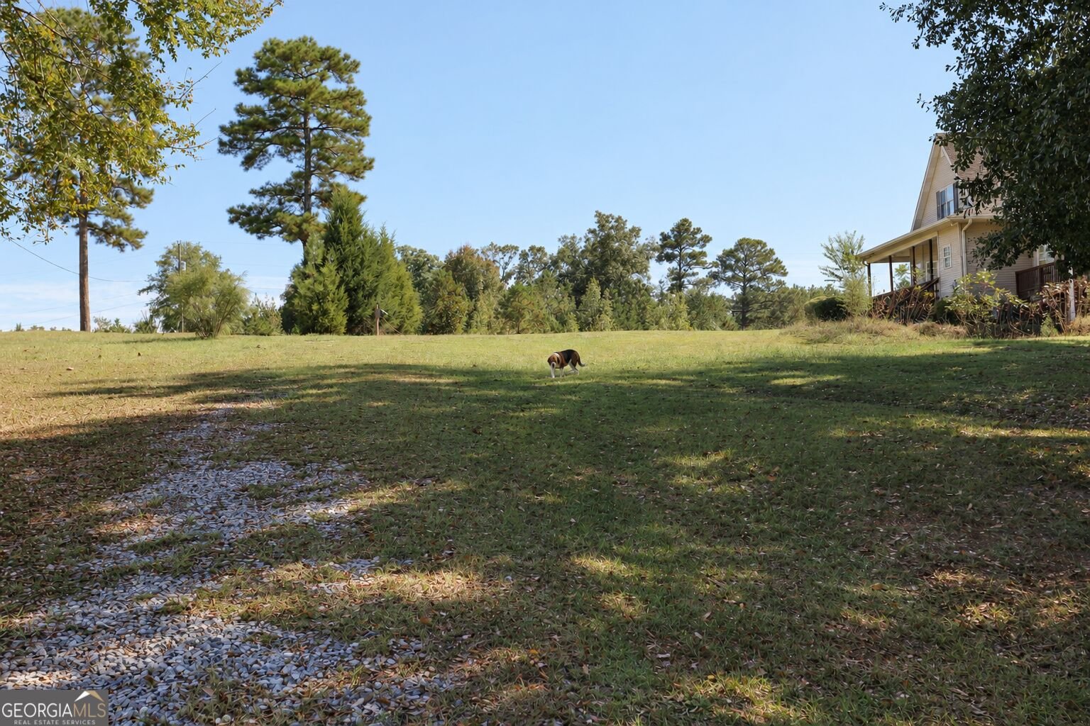 174 Rifle Range Road Gray - Photo 59