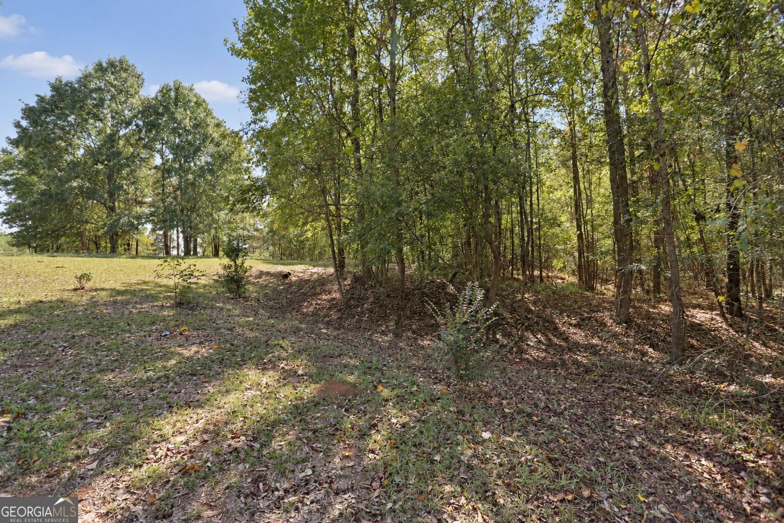 174 Rifle Range Road Gray - Photo 60