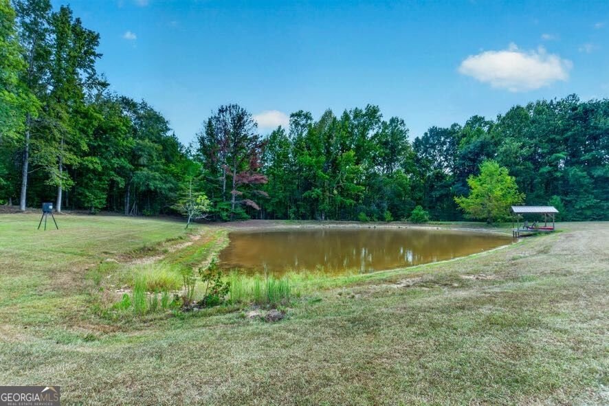 733_763 Glass Bridge Road Lagrange - Photo 62