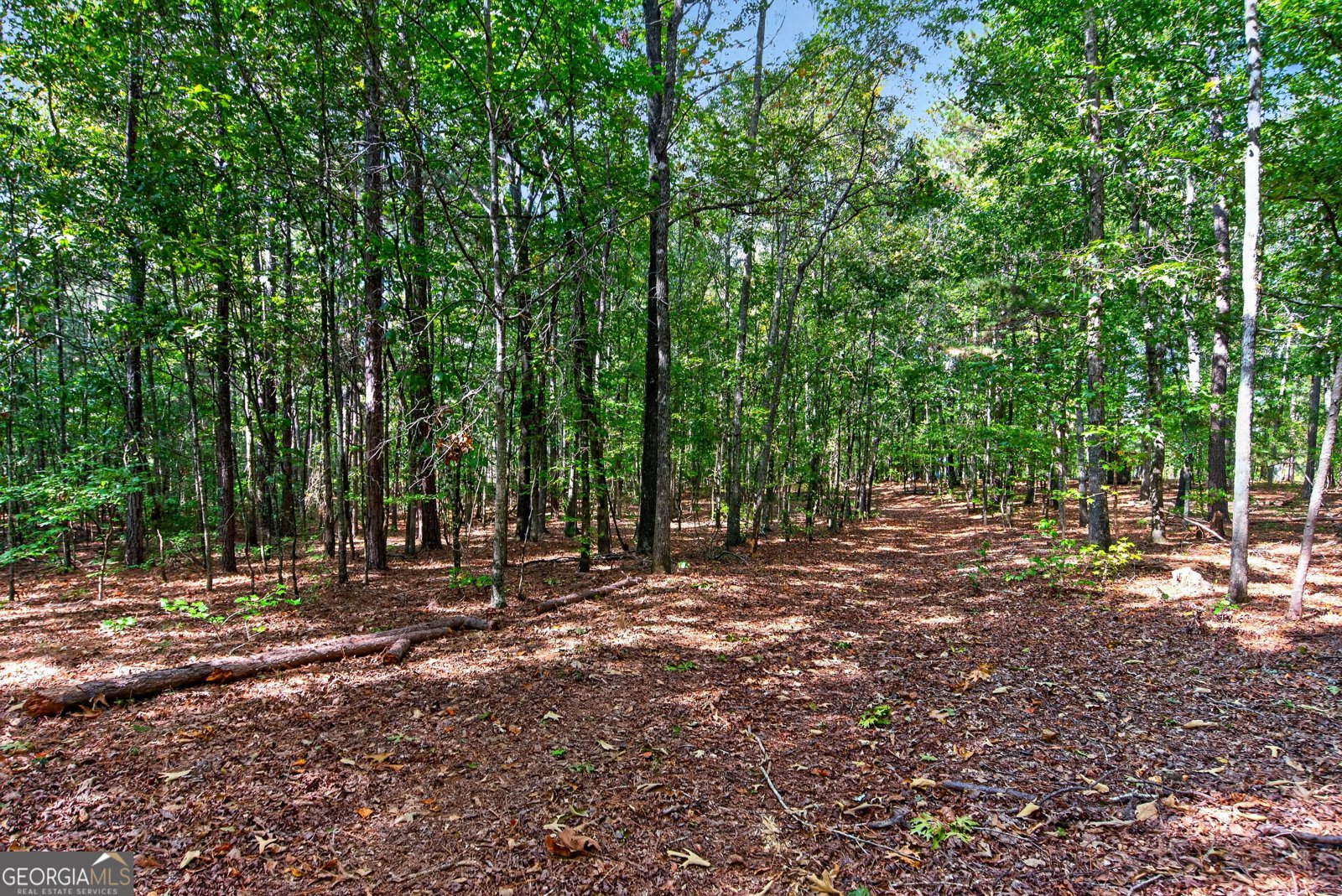 733_763 Glass Bridge Road Lagrange - Photo 71