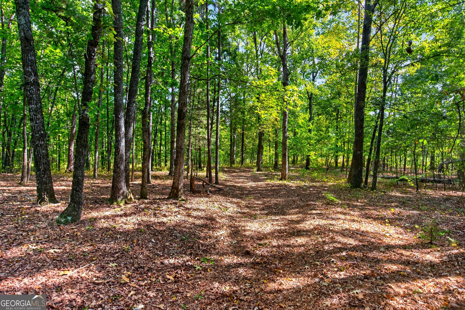 733_763 Glass Bridge Road Lagrange - Photo 72