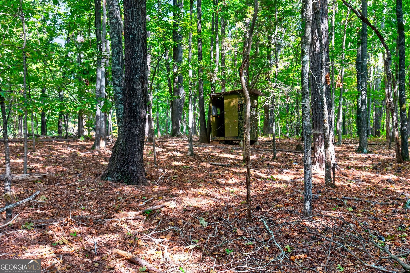 733_763 Glass Bridge Road Lagrange - Photo 73