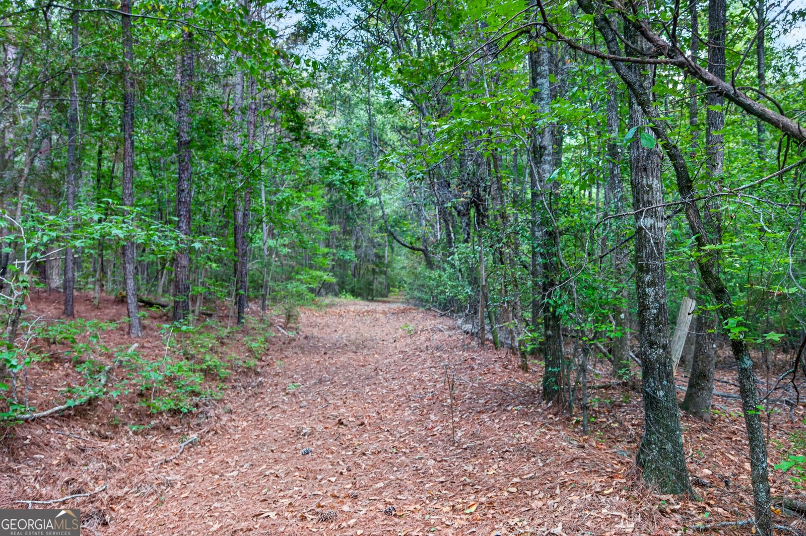 733_763 Glass Bridge Road Lagrange - Photo 74