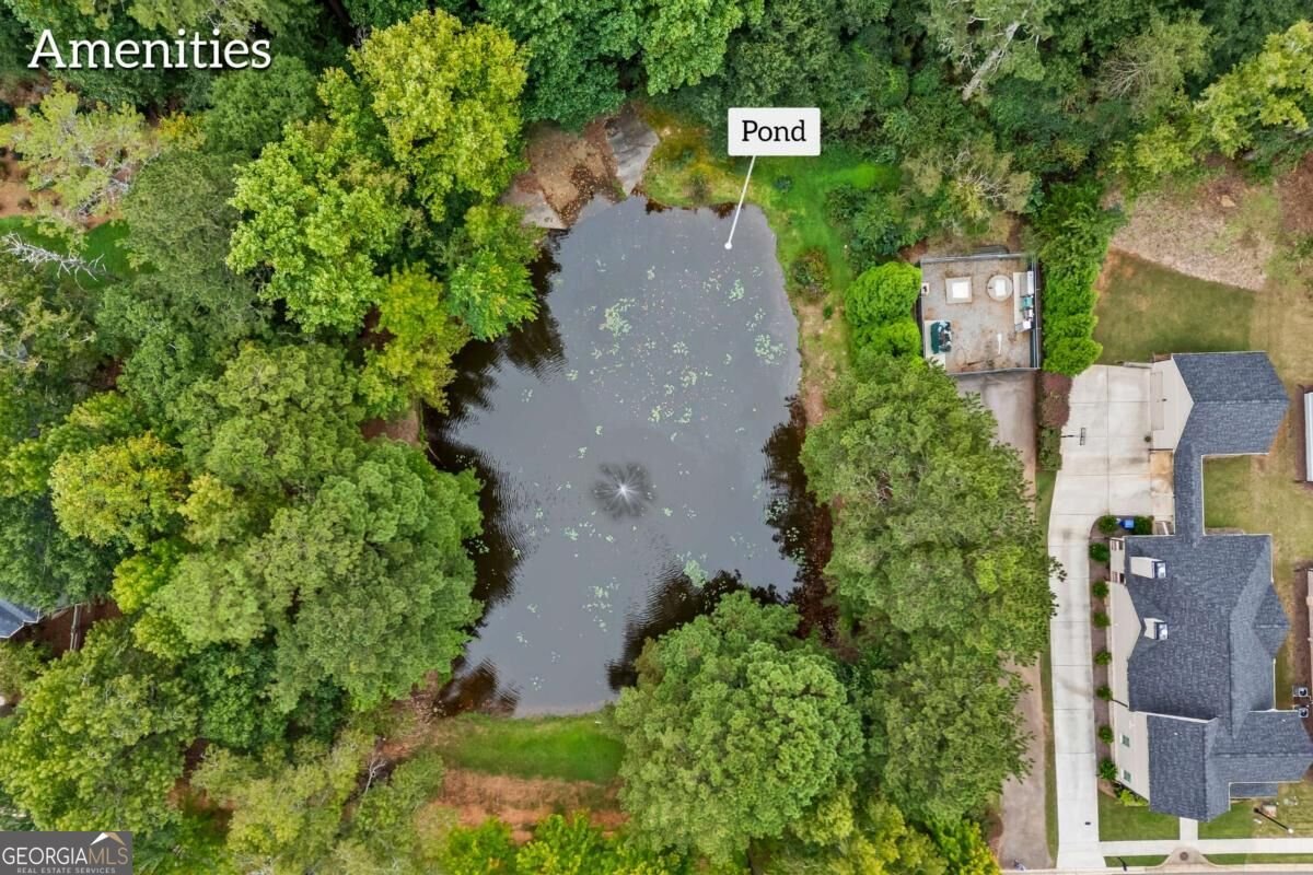 1051 Copperville Drive Watkinsville - Photo 73