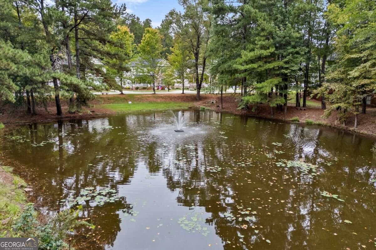 1051 Copperville Drive Watkinsville - Photo 74