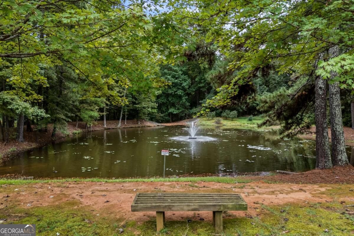 1051 Copperville Drive Watkinsville - Photo 75