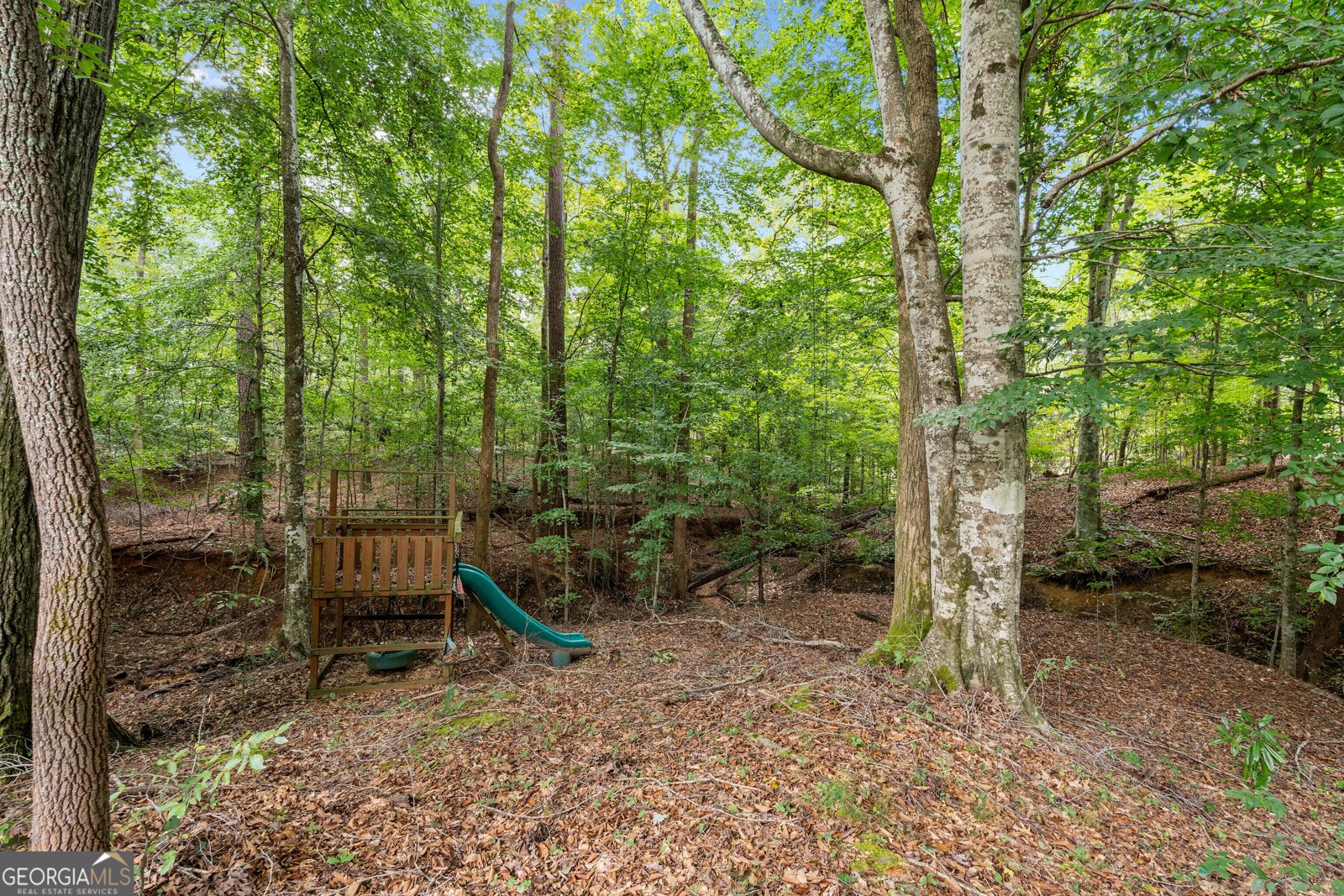 5310 Creek Indian Trail Douglasville - Photo 63