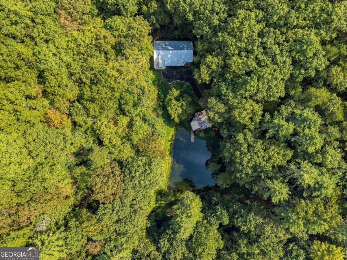 250 Mccollum Road Ellijay - Photo 35