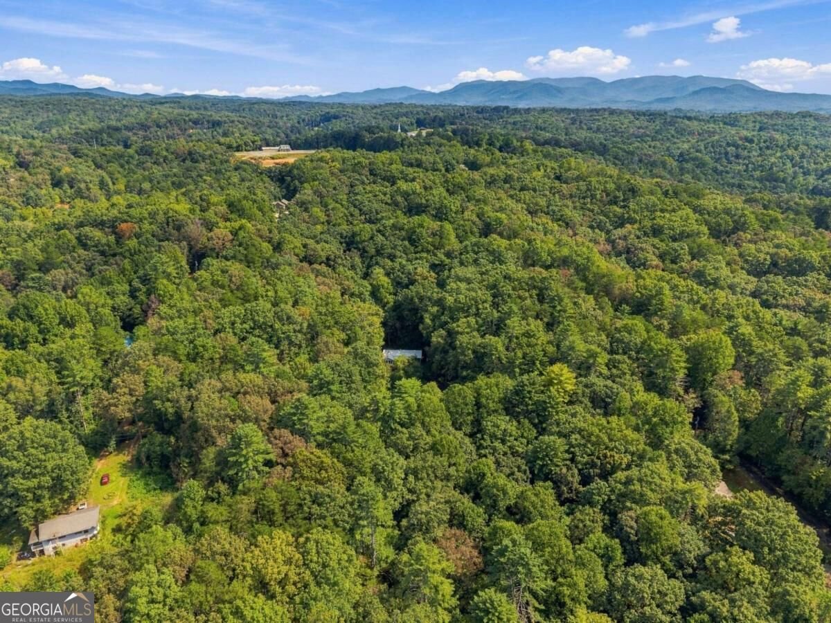 250 Mccollum Road Ellijay - Photo 37