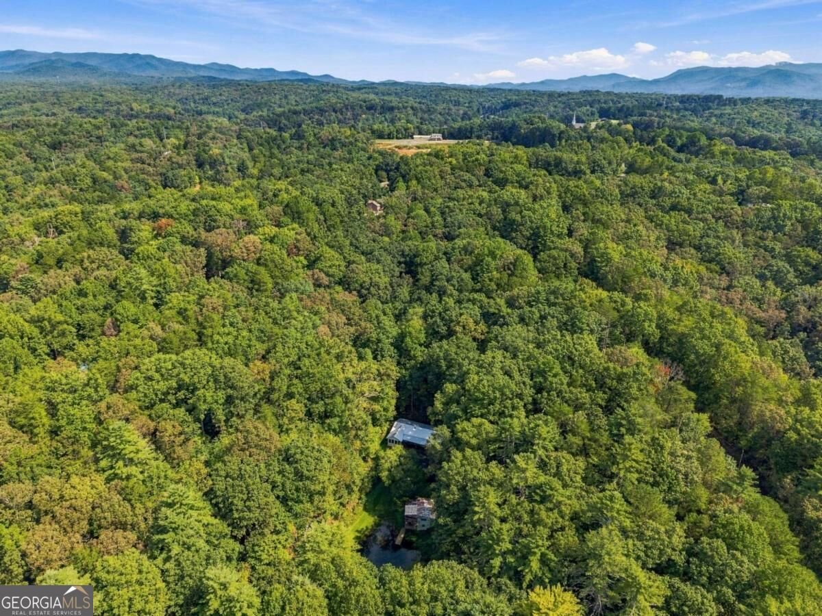 250 Mccollum Road Ellijay - Photo 38