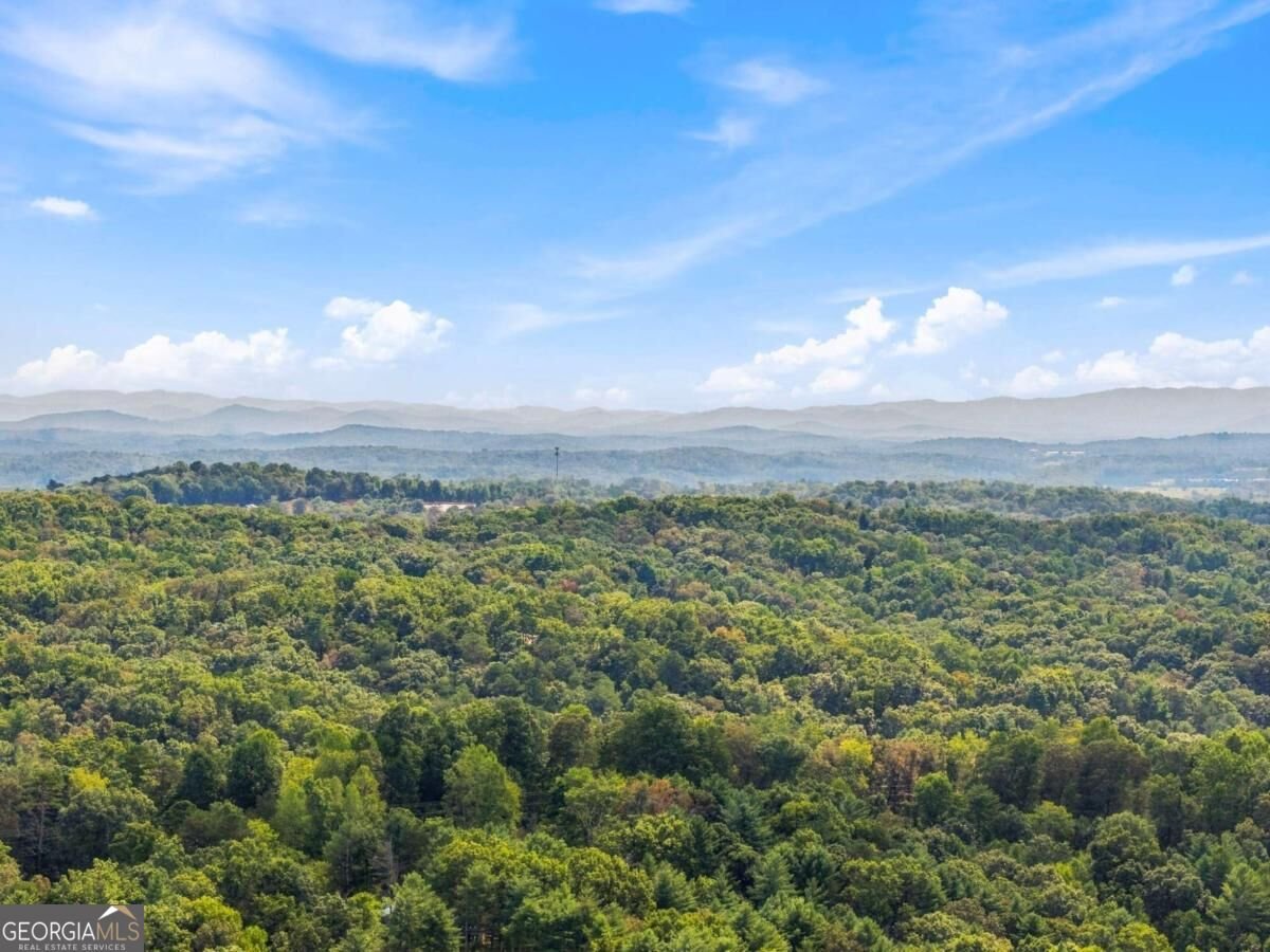 250 Mccollum Road Ellijay - Photo 39