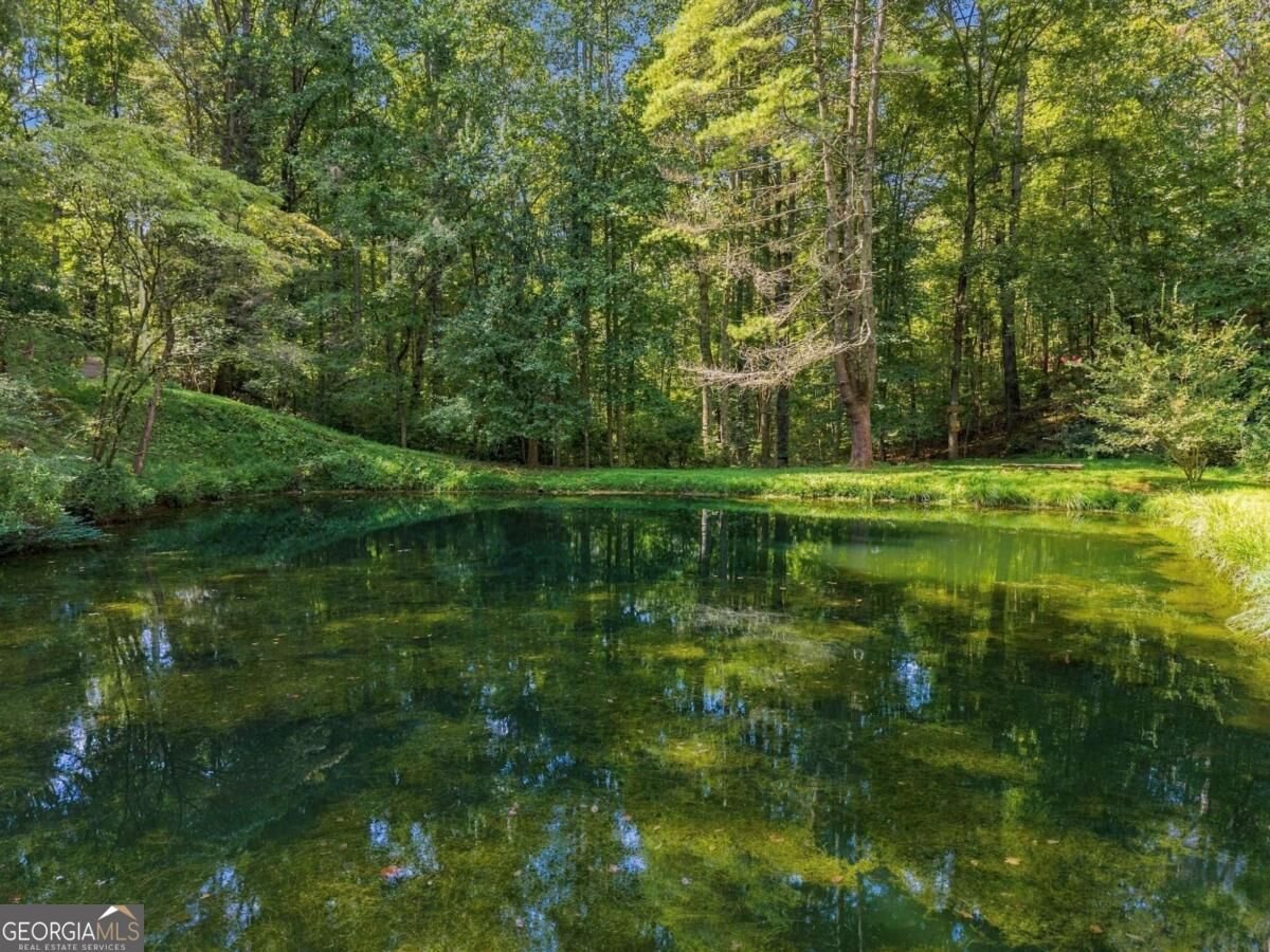 250 Mccollum Road Ellijay - Photo 42