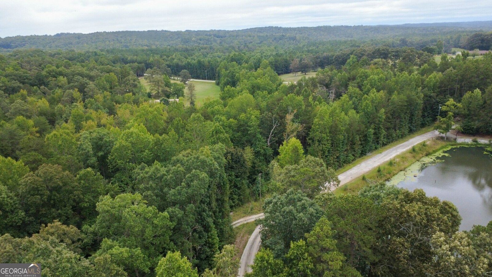 263 Cole Lake Drive Toccoa - Photo 10