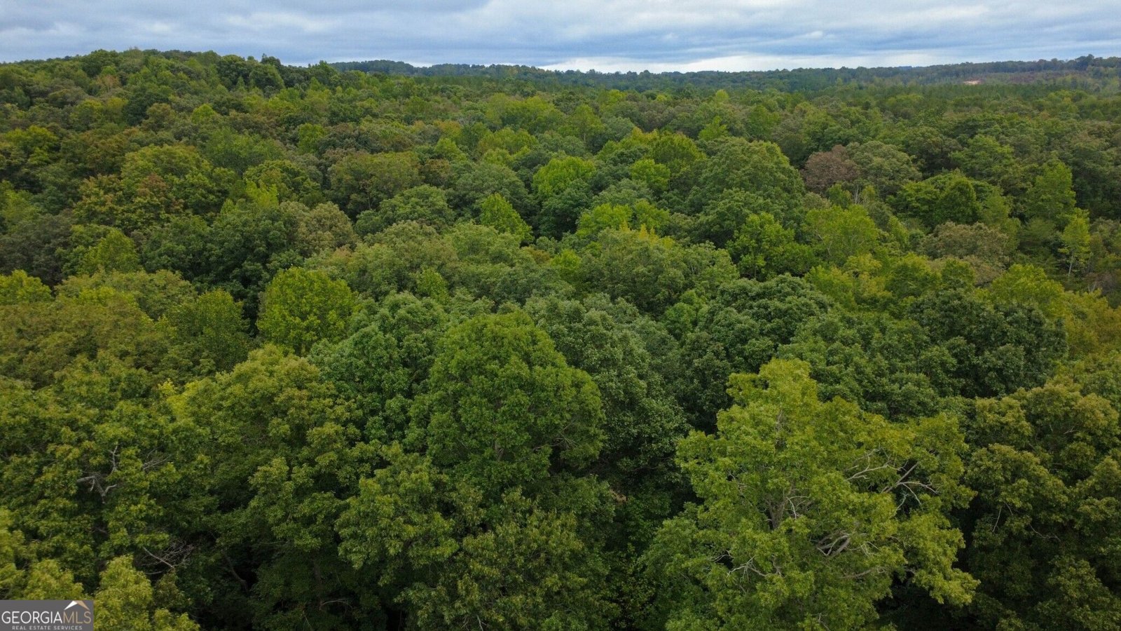 263 Cole Lake Drive Toccoa - Photo 12