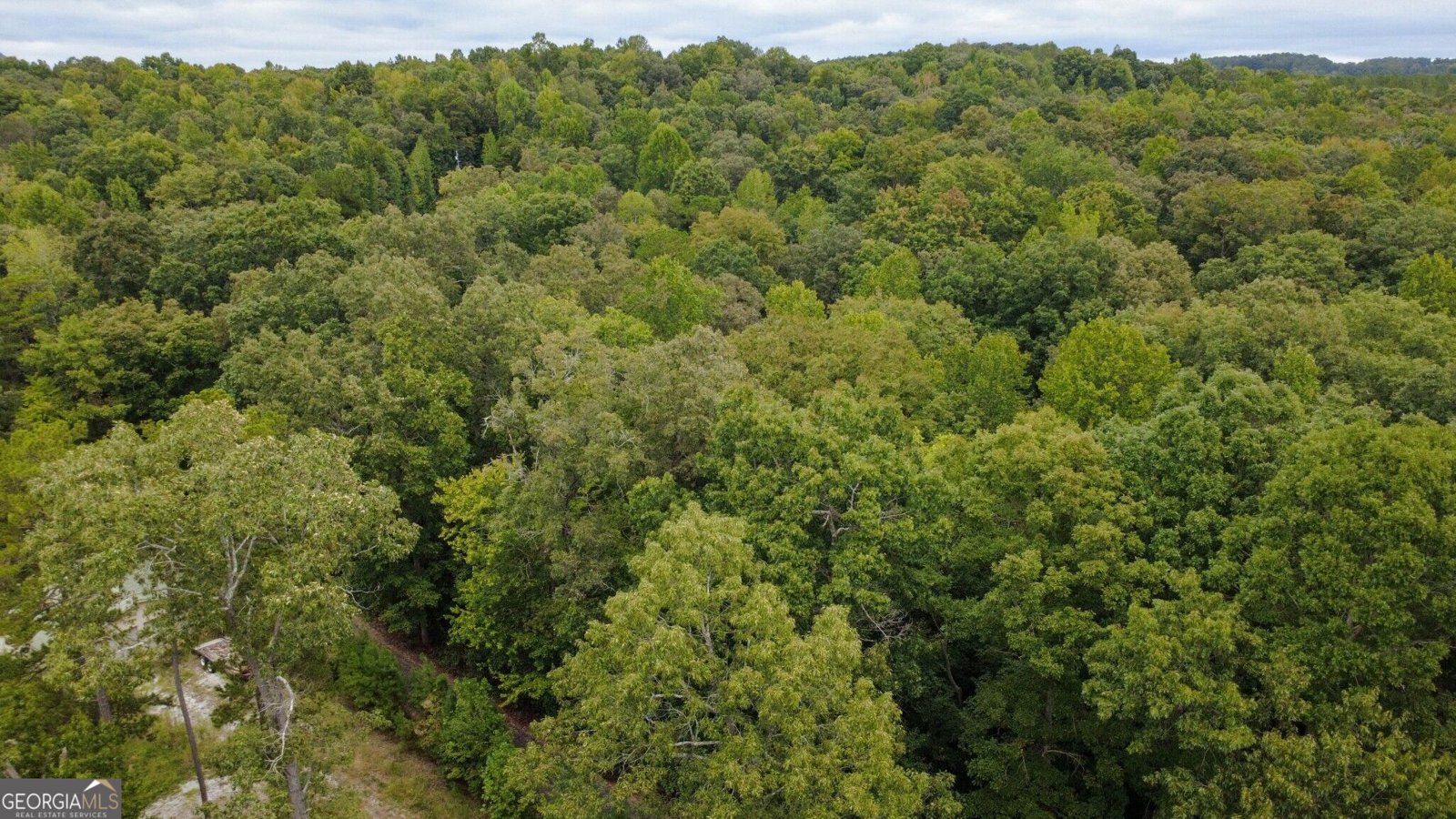 263 Cole Lake Drive Toccoa - Photo 13