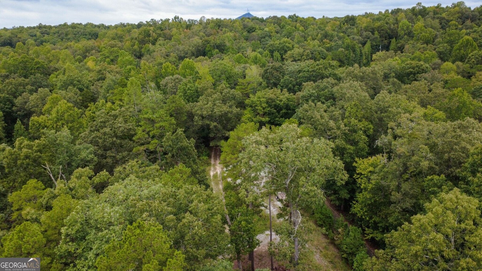 263 Cole Lake Drive Toccoa - Photo 14
