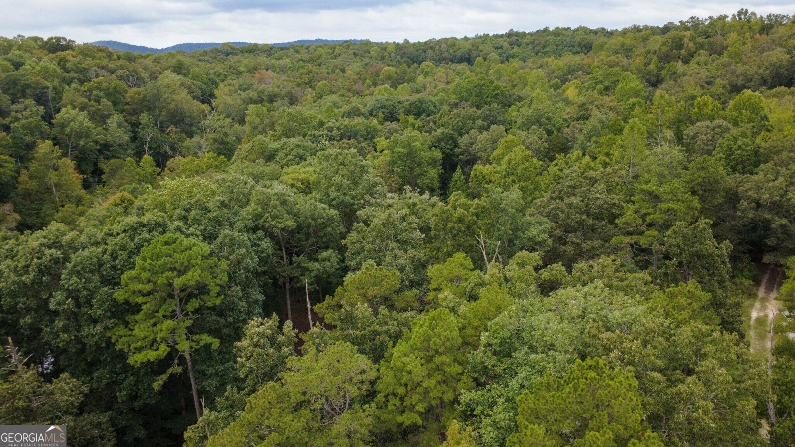 263 Cole Lake Drive Toccoa - Photo 15