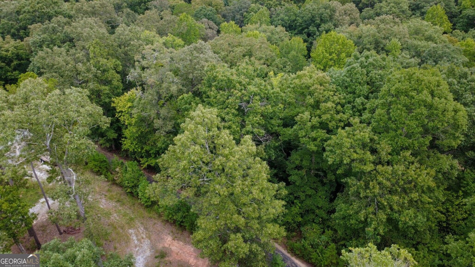 263 Cole Lake Drive Toccoa - Photo 17