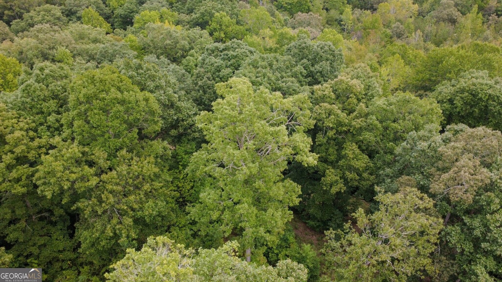 263 Cole Lake Drive Toccoa - Photo 18