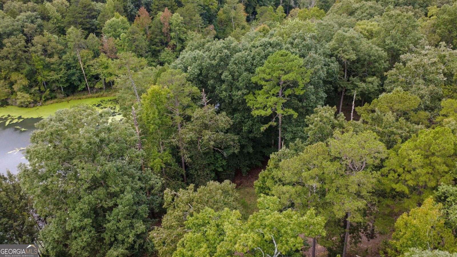 263 Cole Lake Drive Toccoa - Photo 23