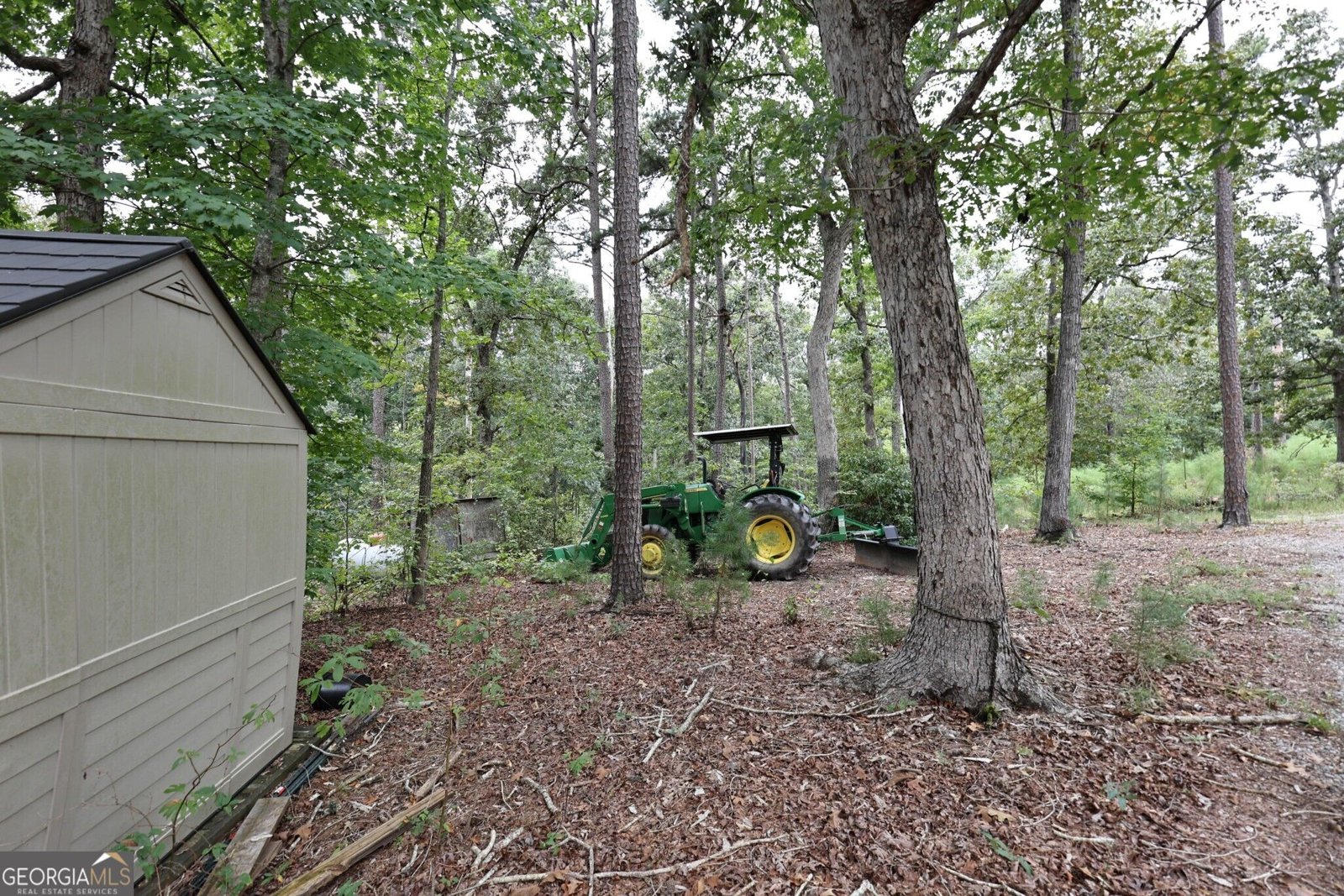 263 Cole Lake Drive Toccoa - Photo 29