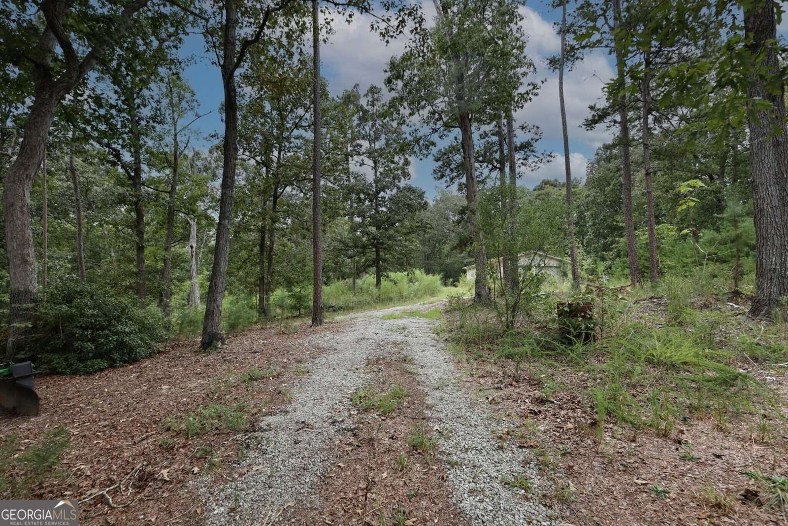 263 Cole Lake Drive Toccoa - Photo 30