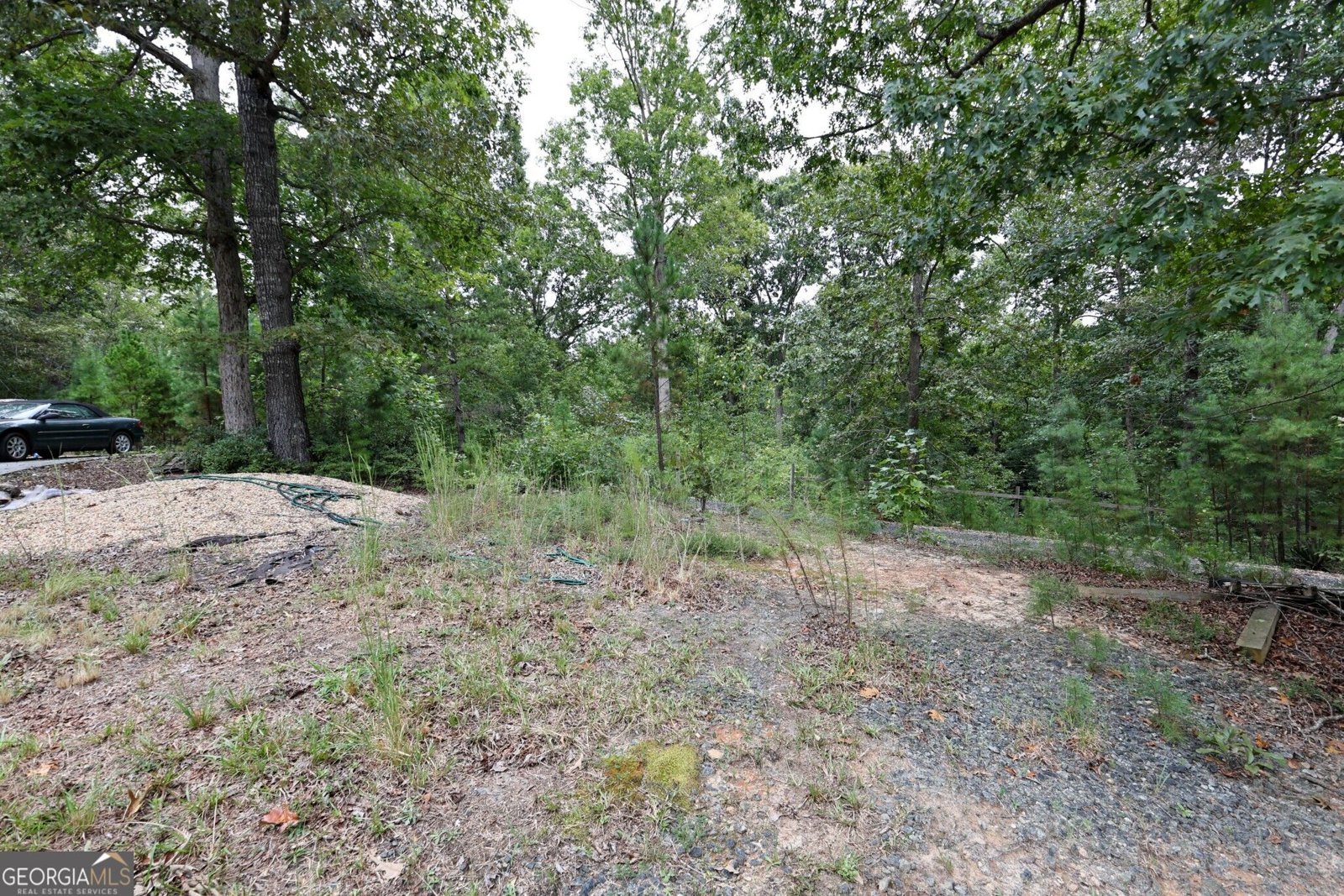 263 Cole Lake Drive Toccoa - Photo 41