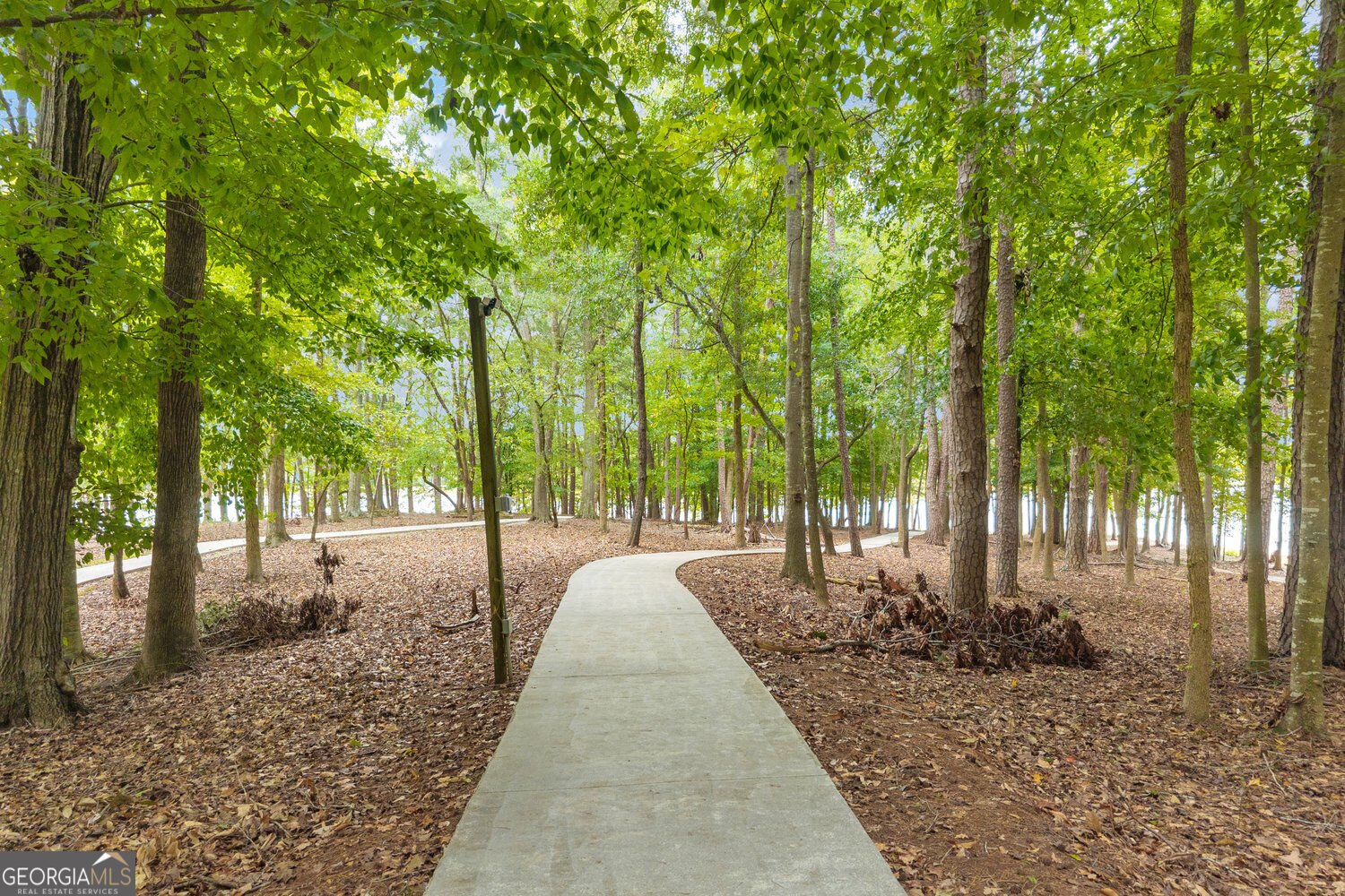 2716 Holcomb Drive Martin - Photo 14