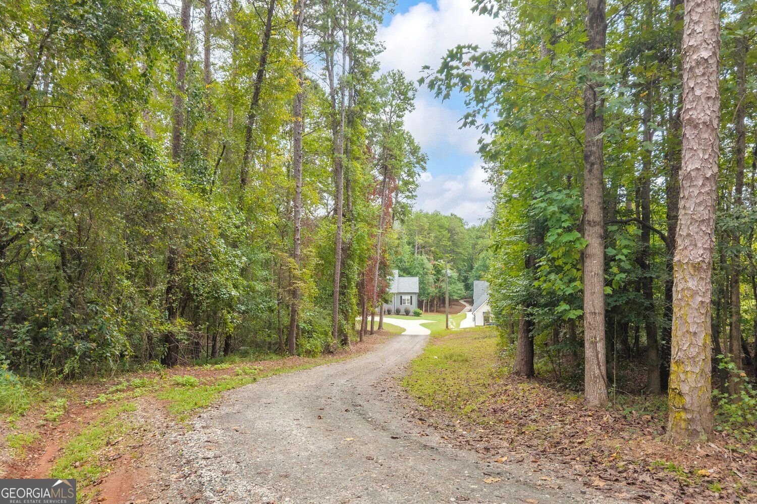 2716 Holcomb Drive Martin - Photo 8